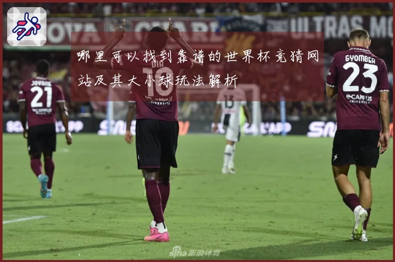 哪里可以找到靠谱的世界杯竞猜网站及其大小球玩法解析