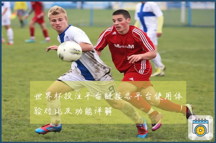 世界杯投注平台链接各平台使用体验对比及功能详解