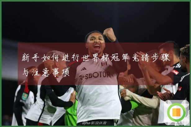新手如何进行世界杯冠军竞猜步骤与注意事项