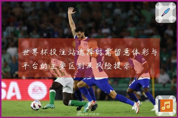 世界杯投注站选择时需留意体彩与平台的主要区别及风险提示